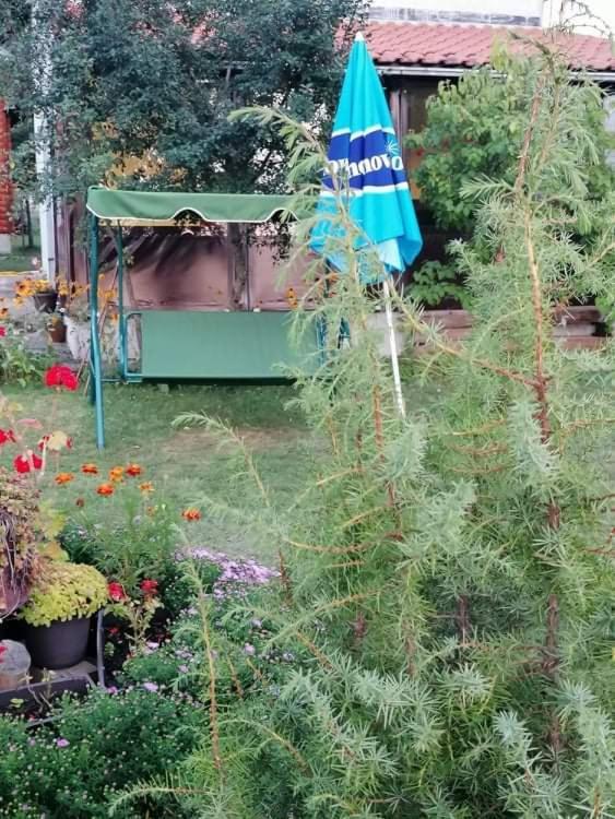 Apartman Marija Zlatibor Exterior foto